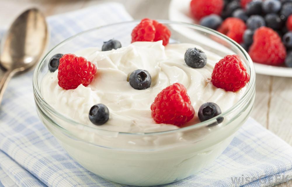 probiotic yoghurt