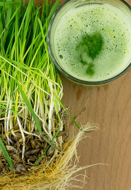 7. Wheatgrass Juice