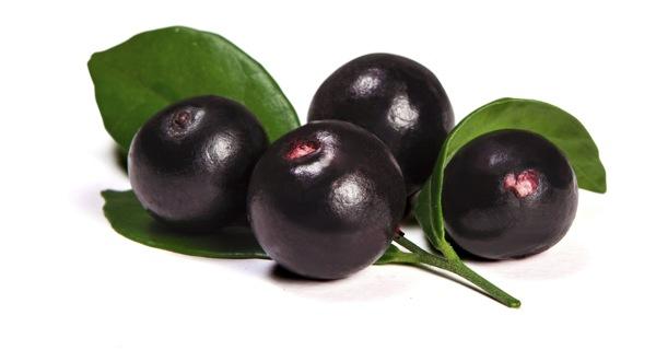 acai berry weight loss