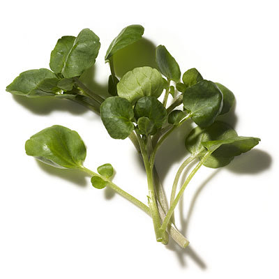 nutrition-greens-watercress