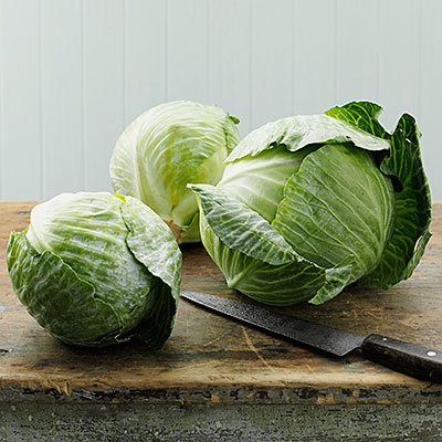 cabbage