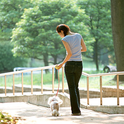 walk-dog-exercise