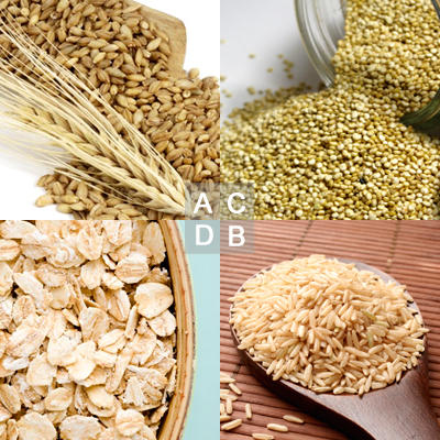 grains-fiber