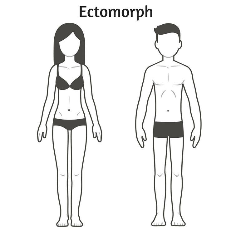 ectomorph body