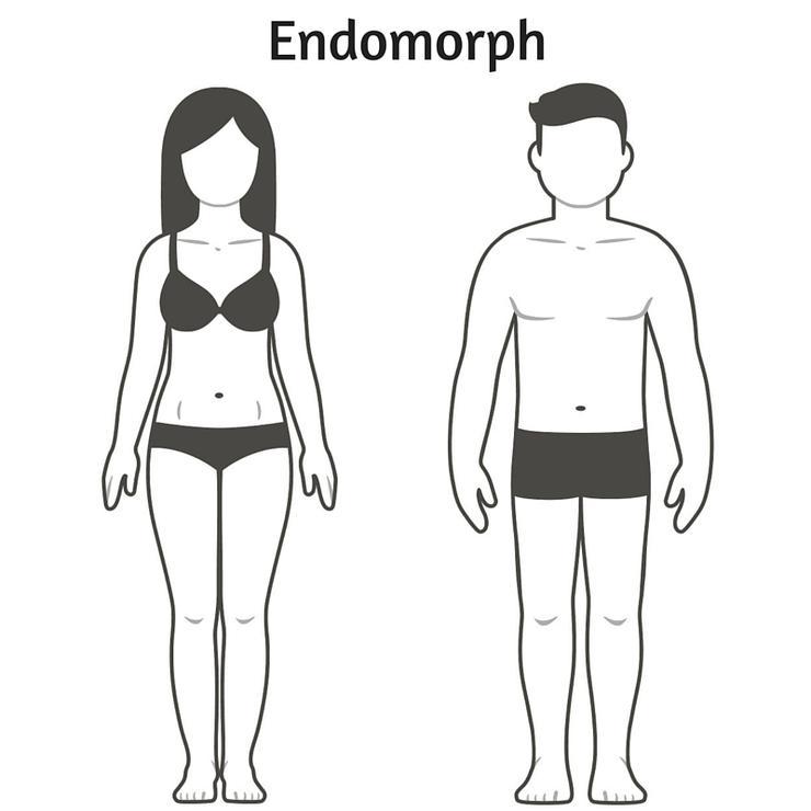 endomorph body type