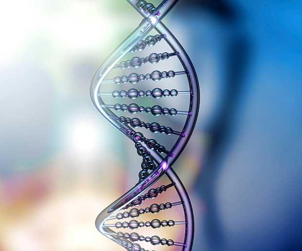 blaming dna for weight gain
