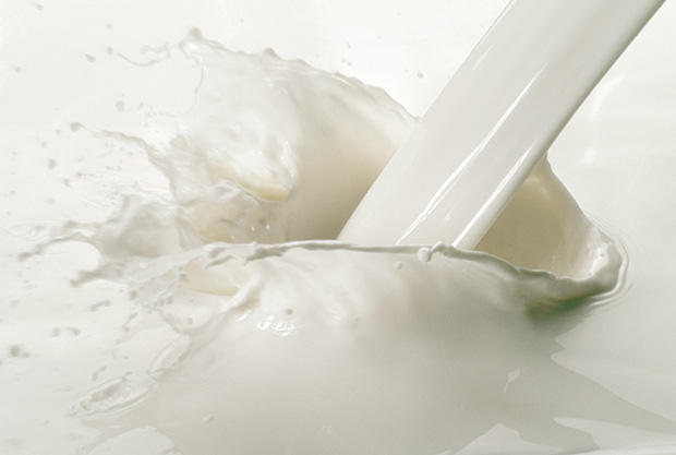 Full-fat dairy will help you eat fewer calories than low-fat dairy.