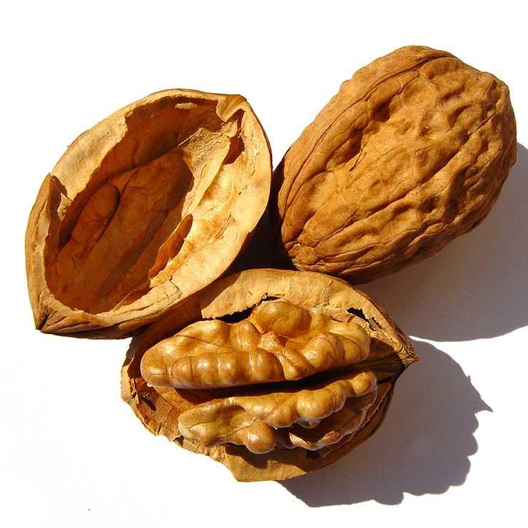 Eat walnuts