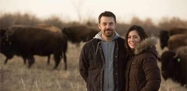 Buffalo Lodge Herd