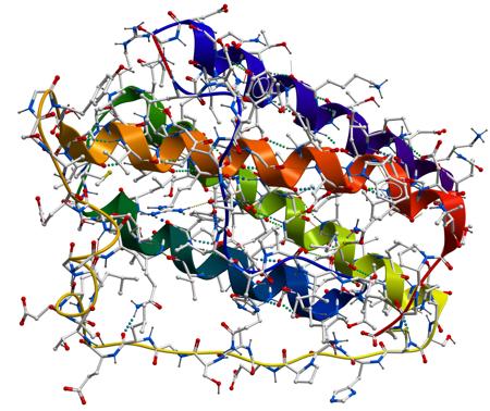 Leptin level